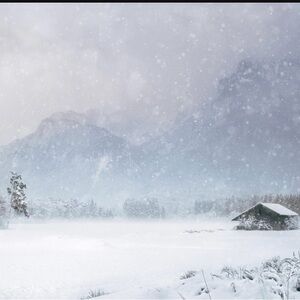 Blizzard Special Items with ❄️3/10$